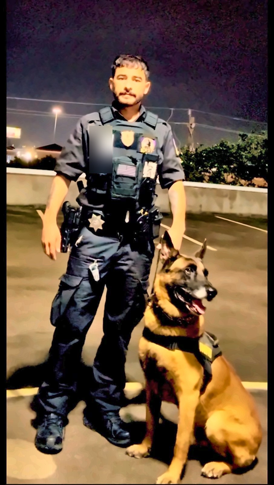 Night K9 patrol