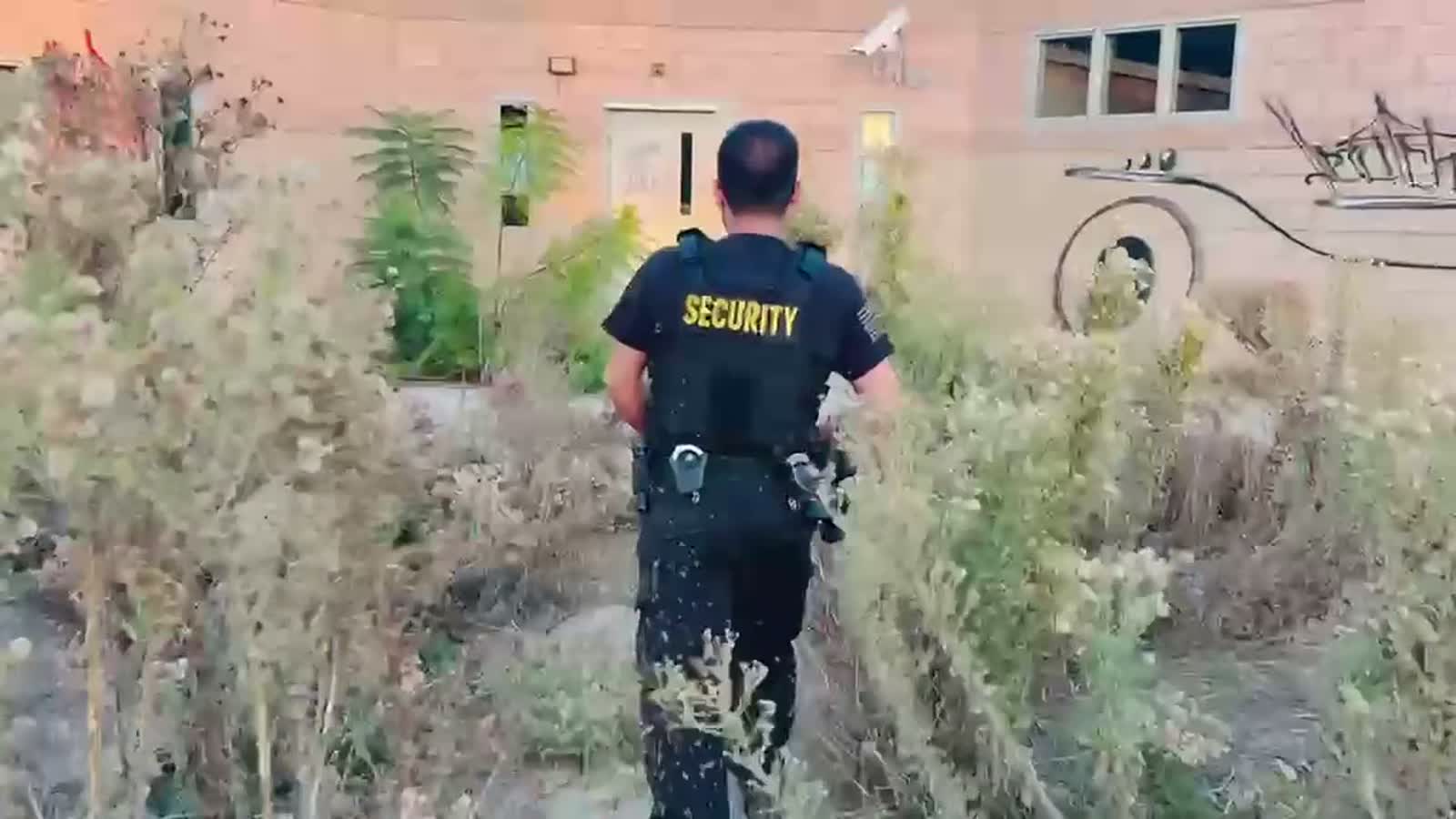 Black Force Security Commercial Property in Austin, Texas